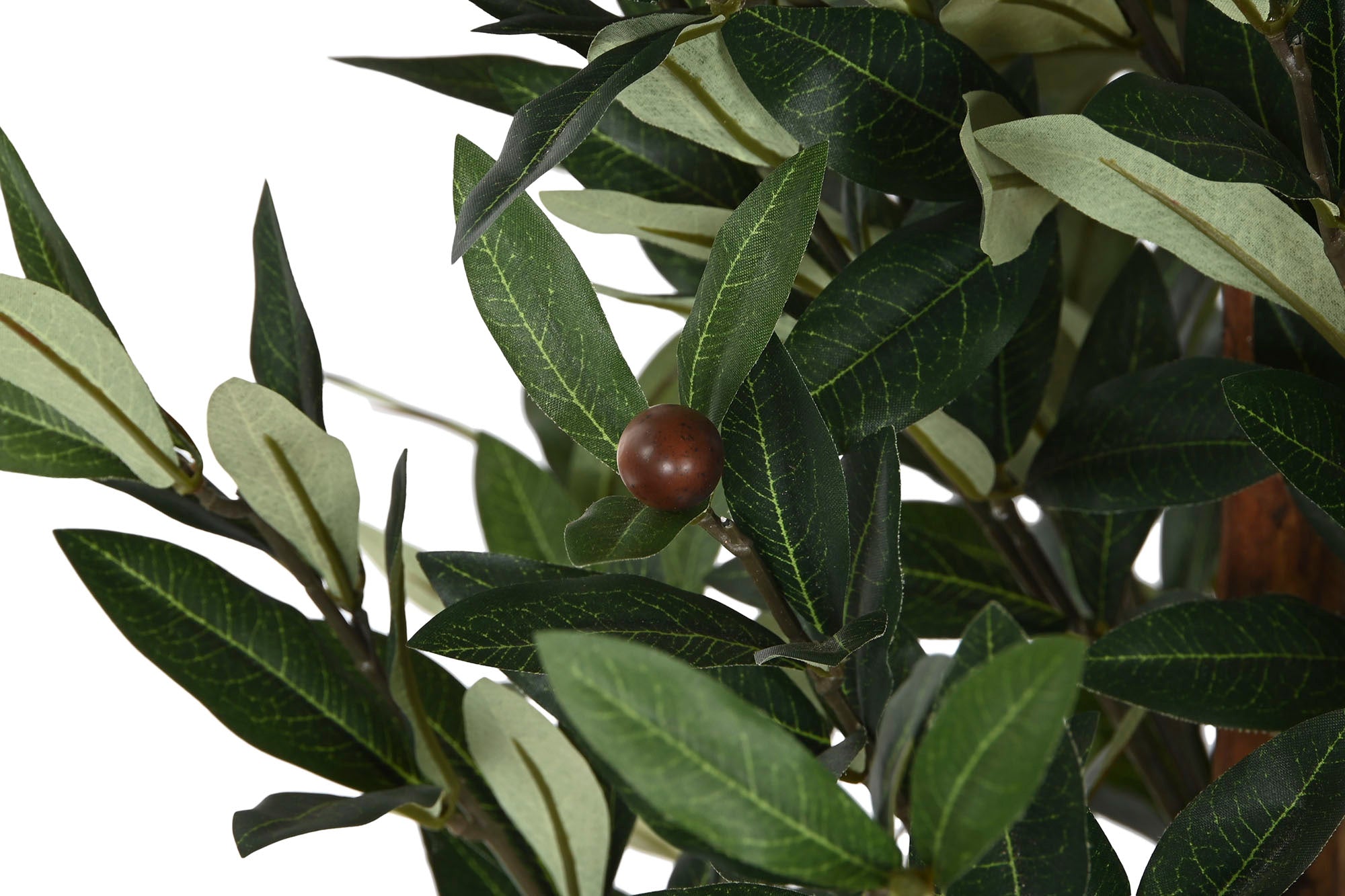 PACK DE 2 ARBOL PE PP 60X60X122 OLIVO VERDE