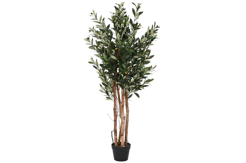 PACK DE 2 ARBOL PE PP 60X60X122 OLIVO VERDE