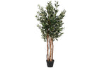 PACK DE 2 ARBOL PE PP 60X60X122 OLIVO VERDE