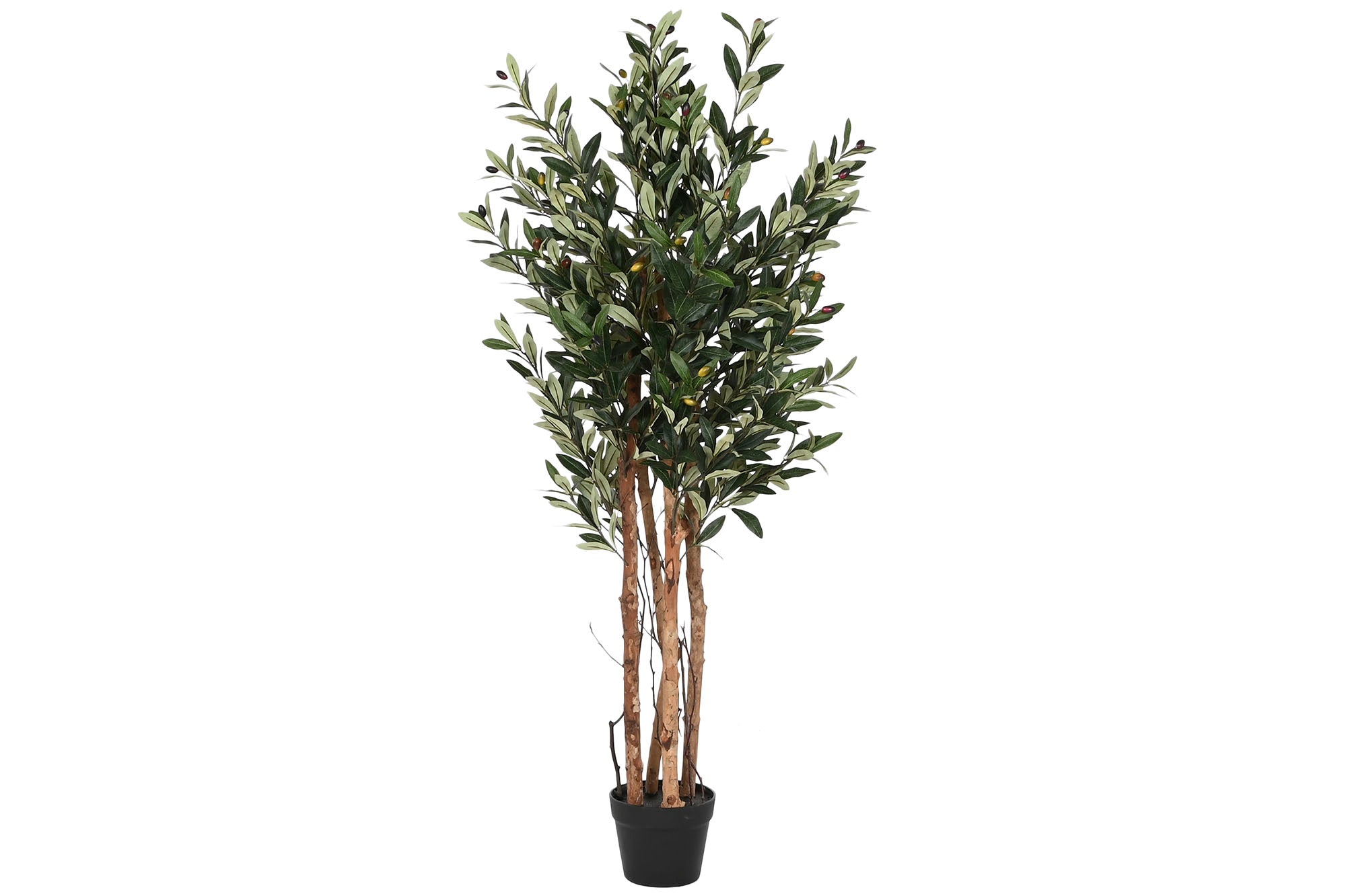 PACK DE 2 ARBOL PE PP 60X60X122 OLIVO VERDE