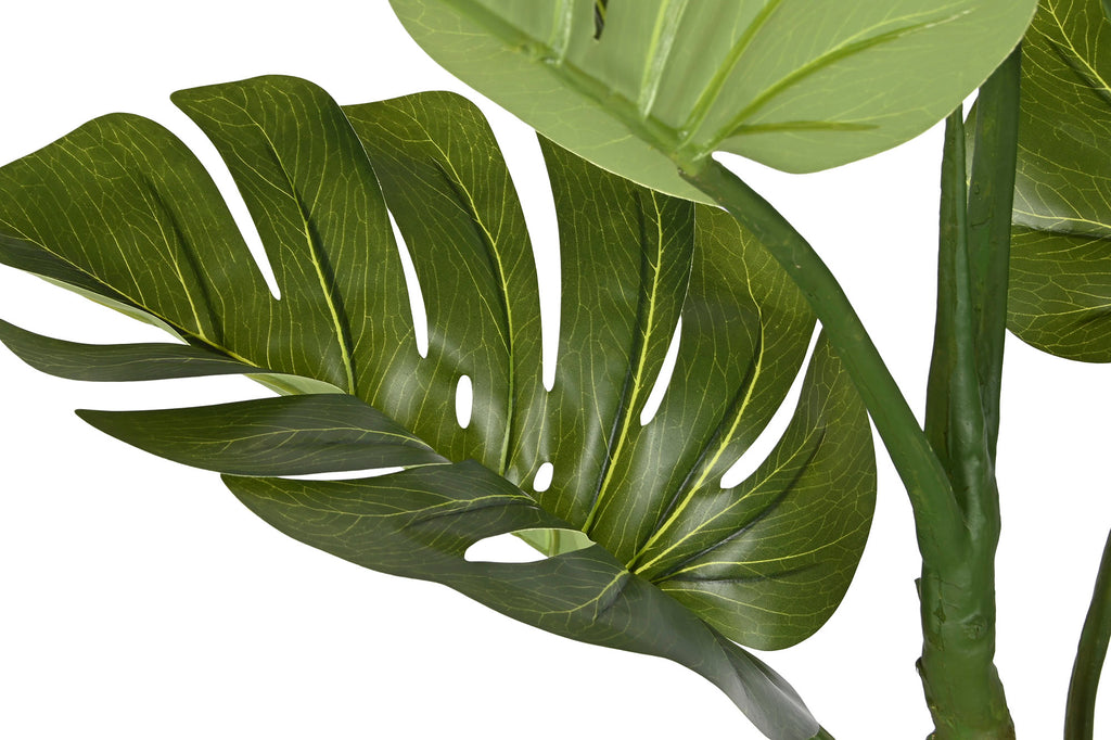 PACK DE 2 PLANTA PE PP 100X83X153 MONSTERA VERDE