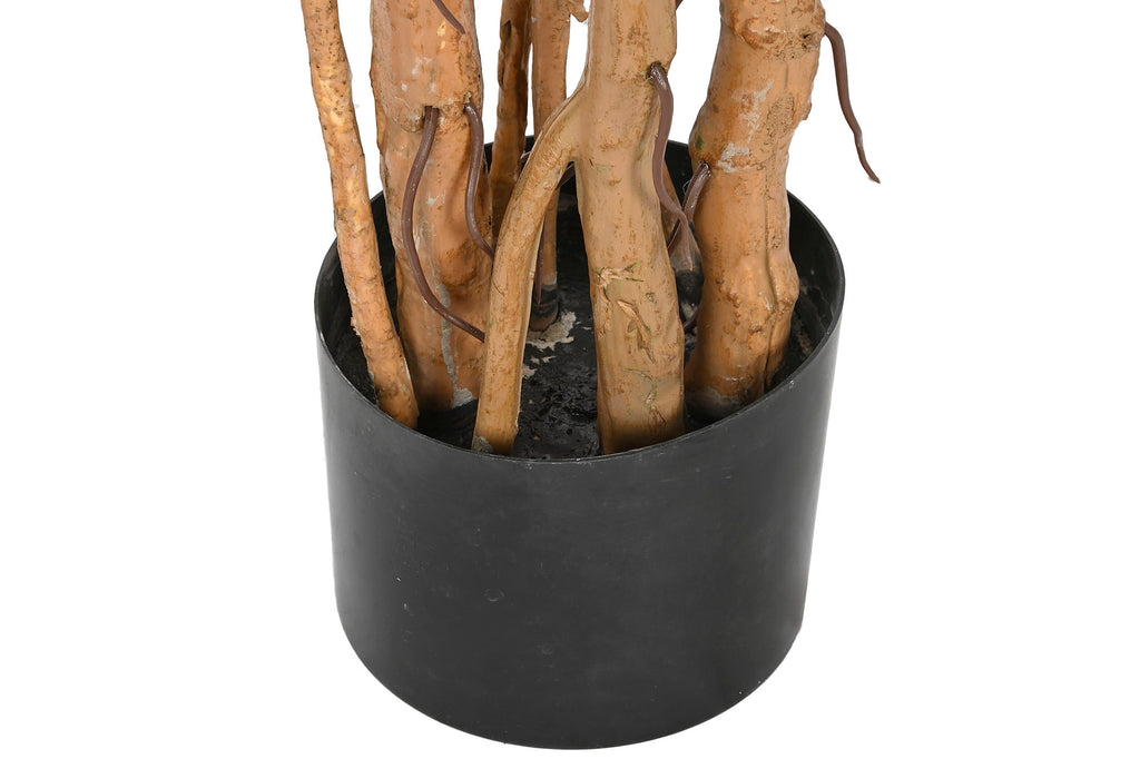 PACK DE 2 PLANTA PE PP 100X83X153 MONSTERA VERDE