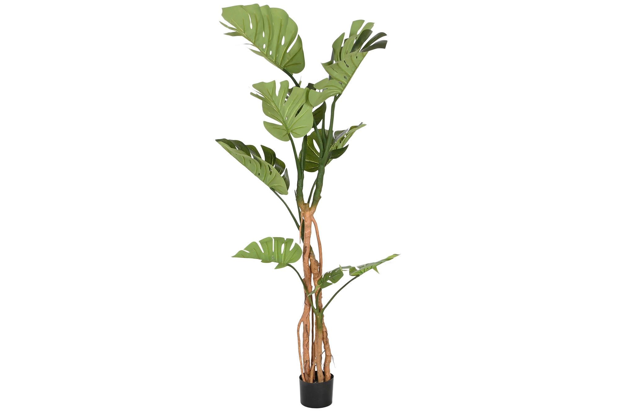 PACK DE 2 PLANTA PE PP 100X83X153 MONSTERA VERDE