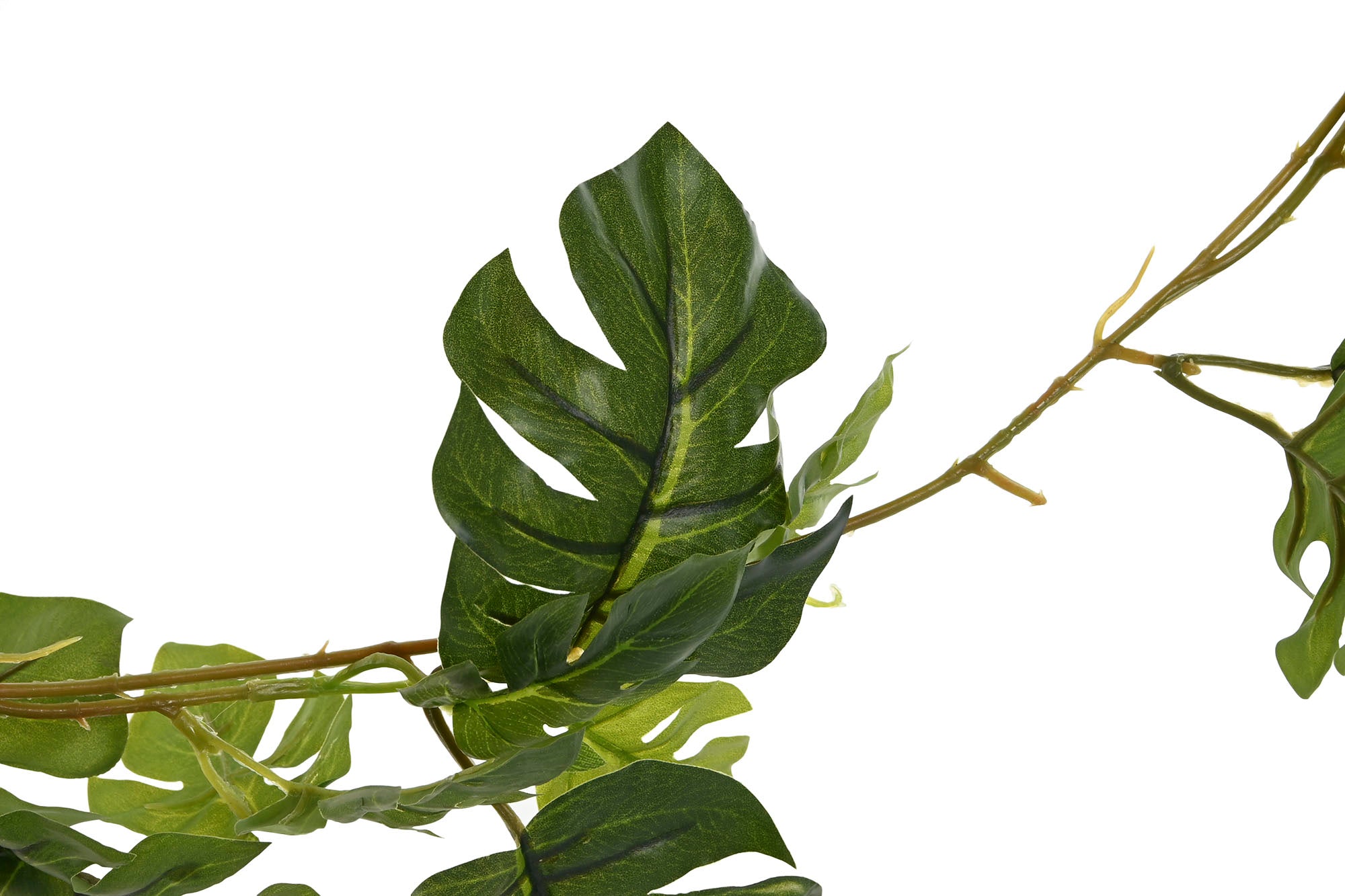 PACK DE 6 GUIRNALDA PE 25X25X249 MONSTERA VERDE