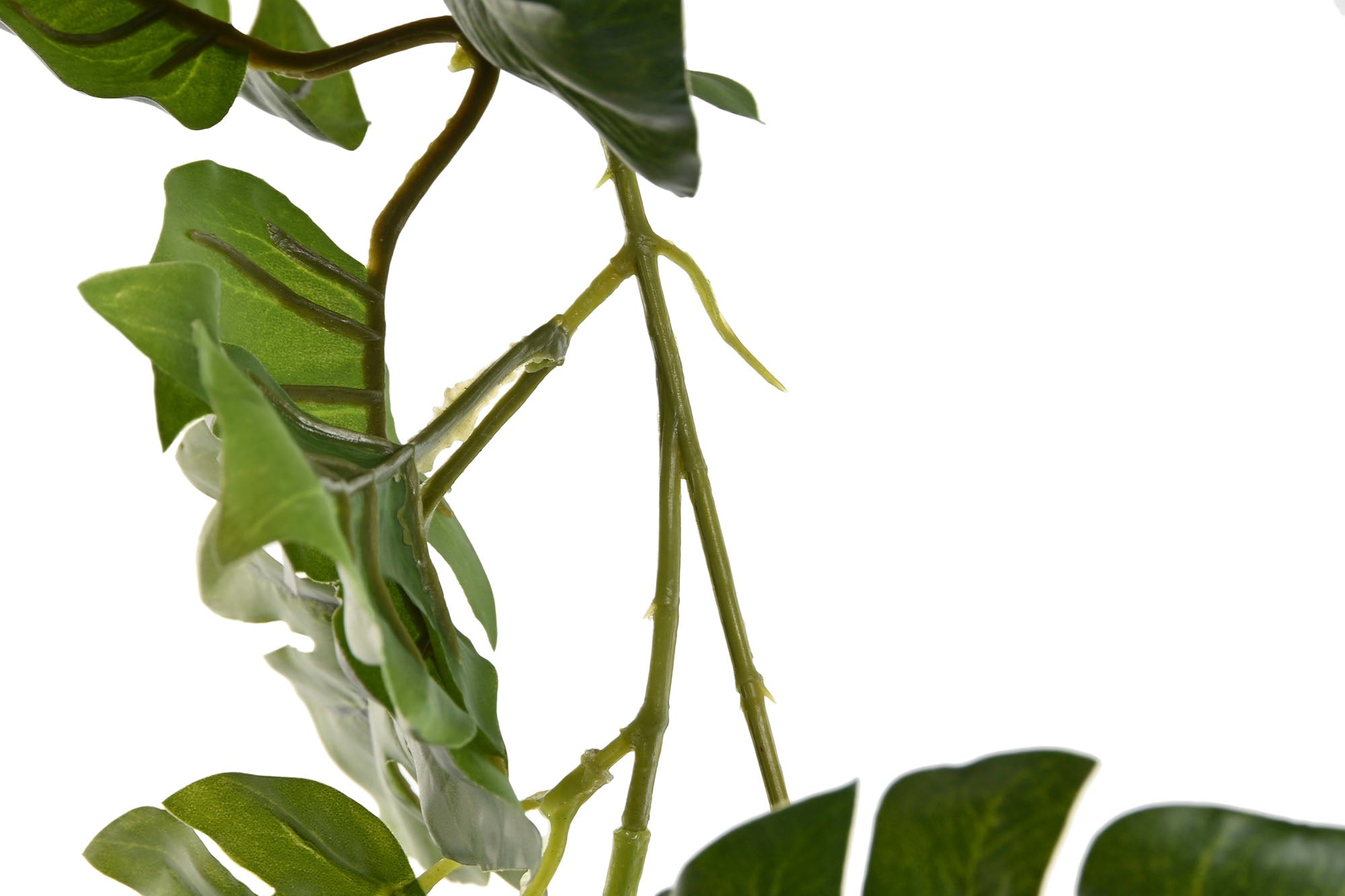 PACK DE 6 GUIRNALDA PE 25X25X249 MONSTERA VERDE