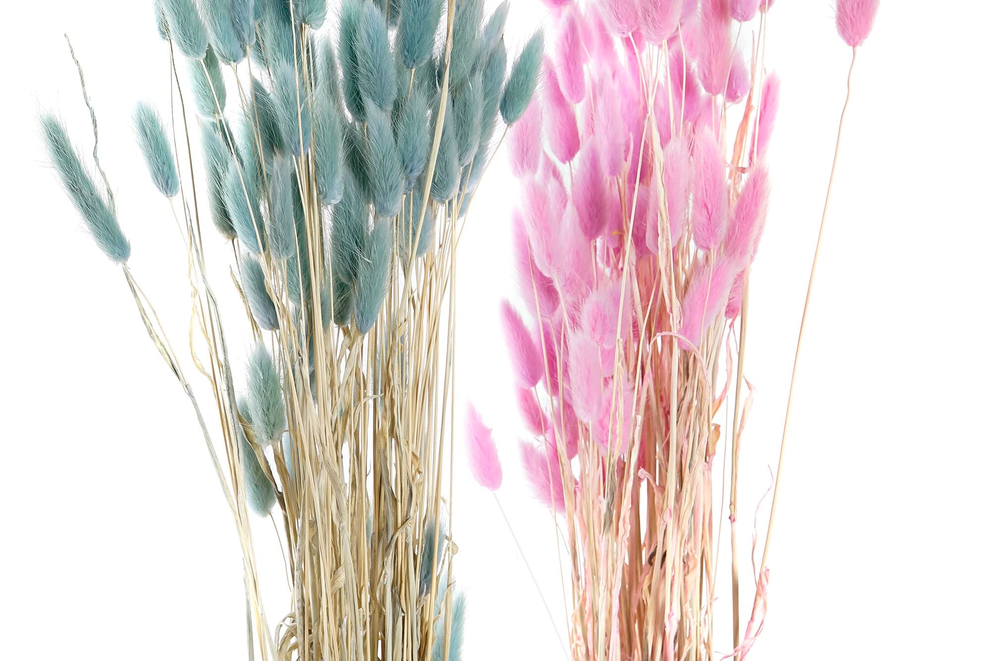 PACK DE 12 RAMO FLOR SECA 8X8X71 50GR COLA CONEJO 4 SURT.