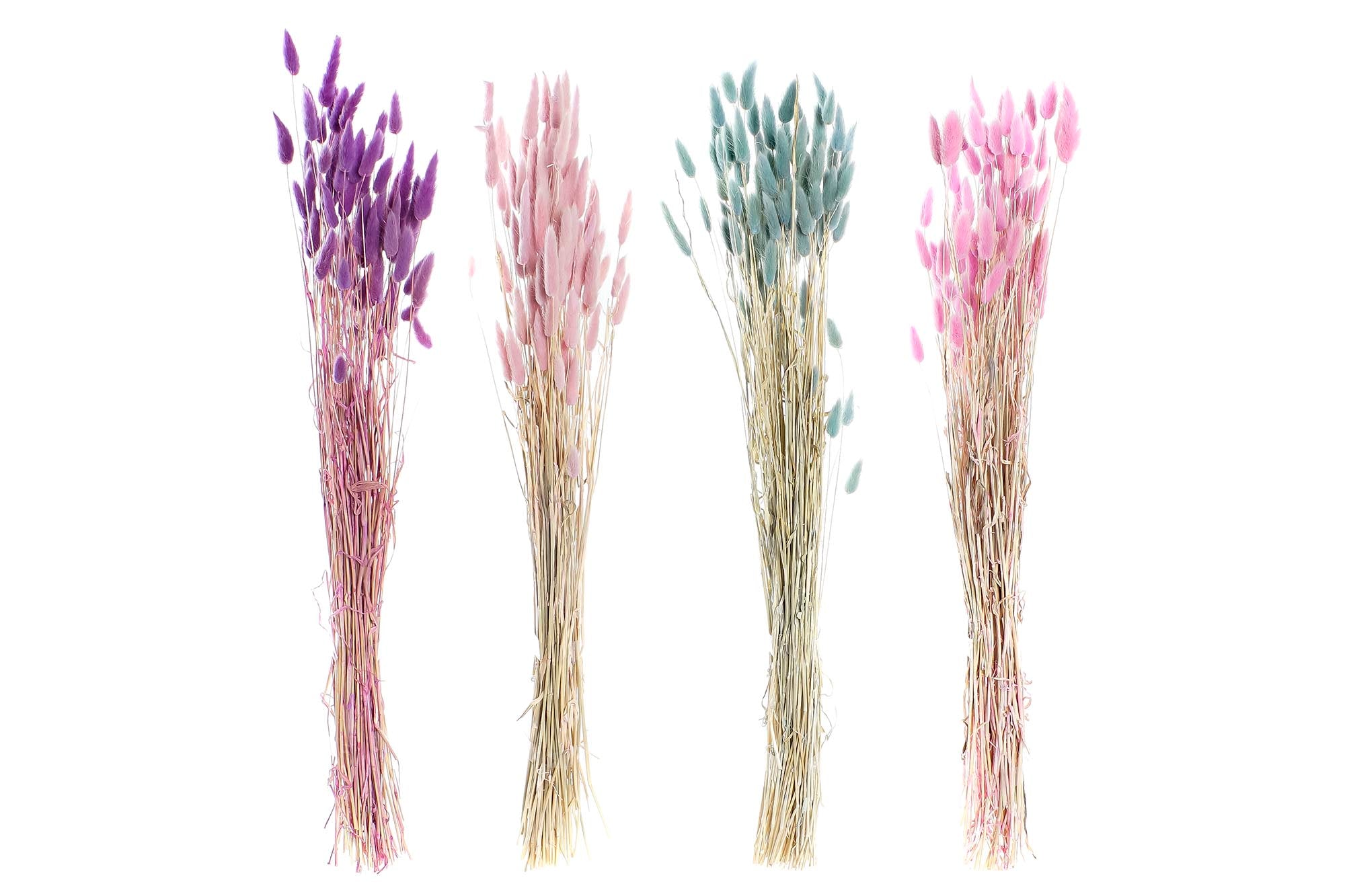 PACK DE 12 RAMO FLOR SECA 8X8X71 50GR COLA CONEJO 4 SURT.