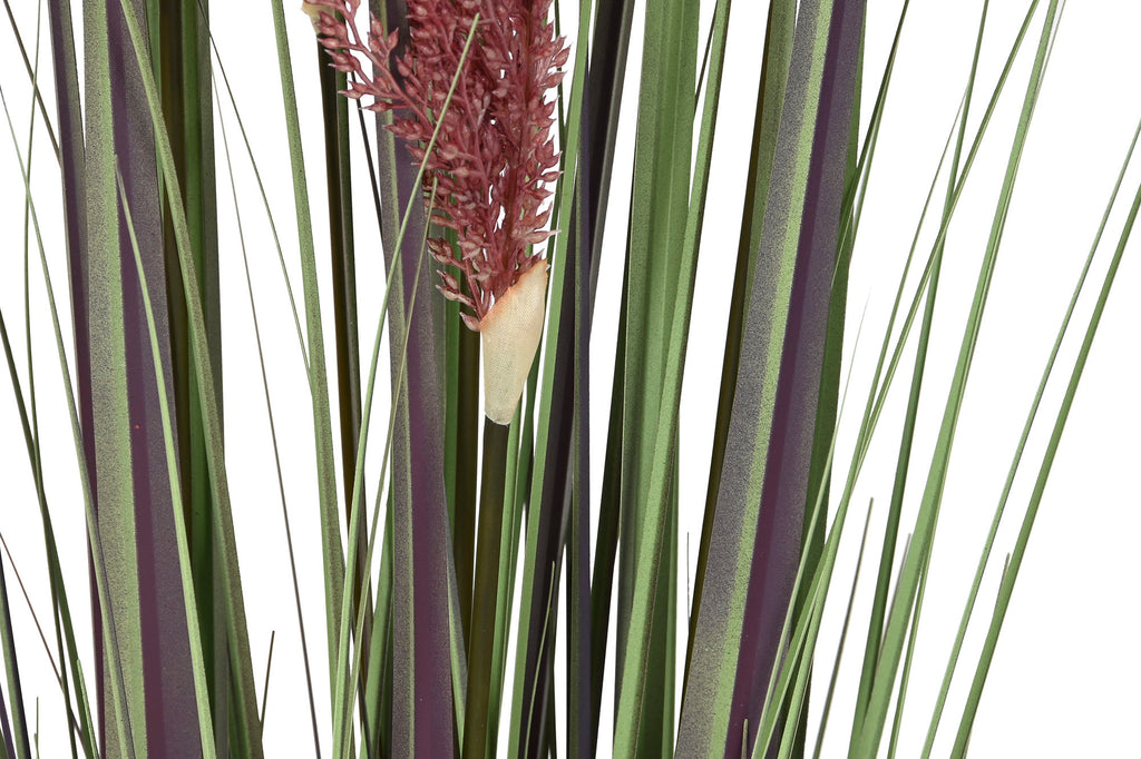 PACK DE 2 PLANTA PE PVC 35X35X120 PLUMERO 2 SURT.