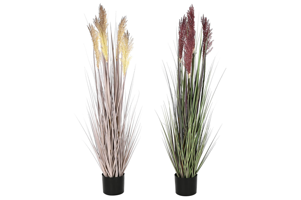 PACK DE 2 PLANTA PE PVC 35X35X120 PLUMERO 2 SURT.