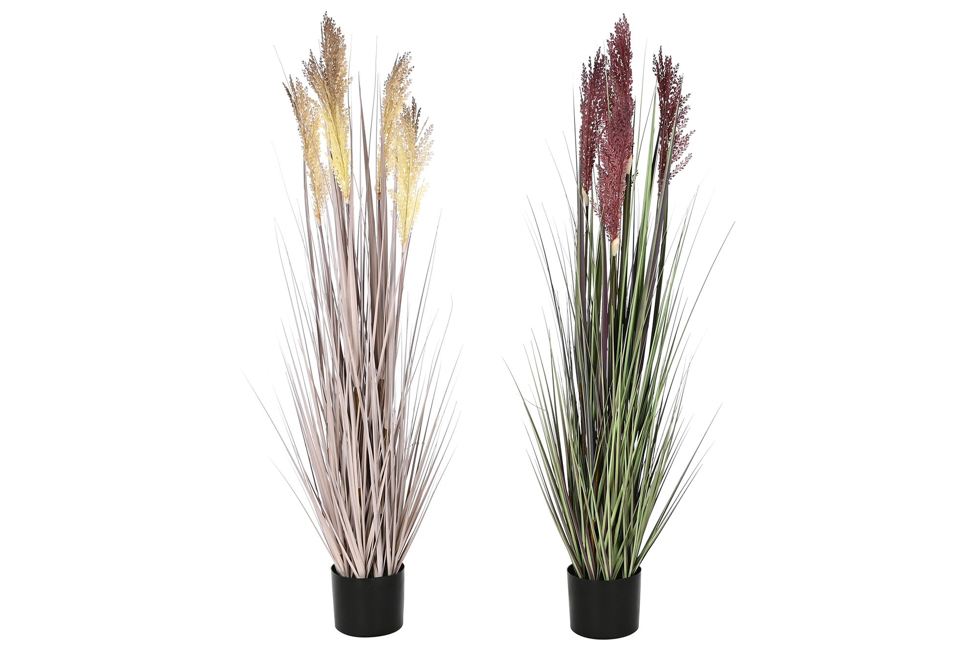 PACK DE 2 PLANTA PE PVC 35X35X120 PLUMERO 2 SURT.