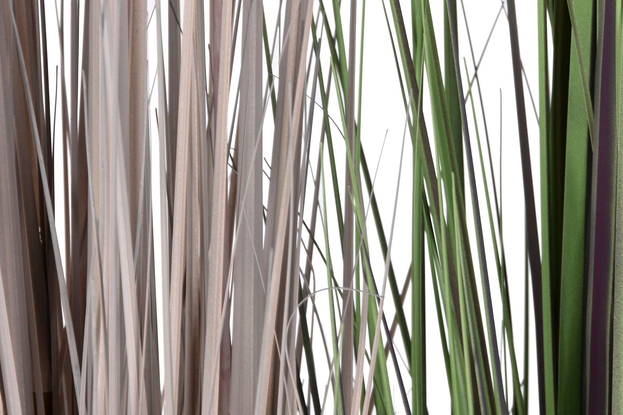 PACK DE 2 PLANTA PE PVC 45X45X150 PLUMERO 2 SURT.