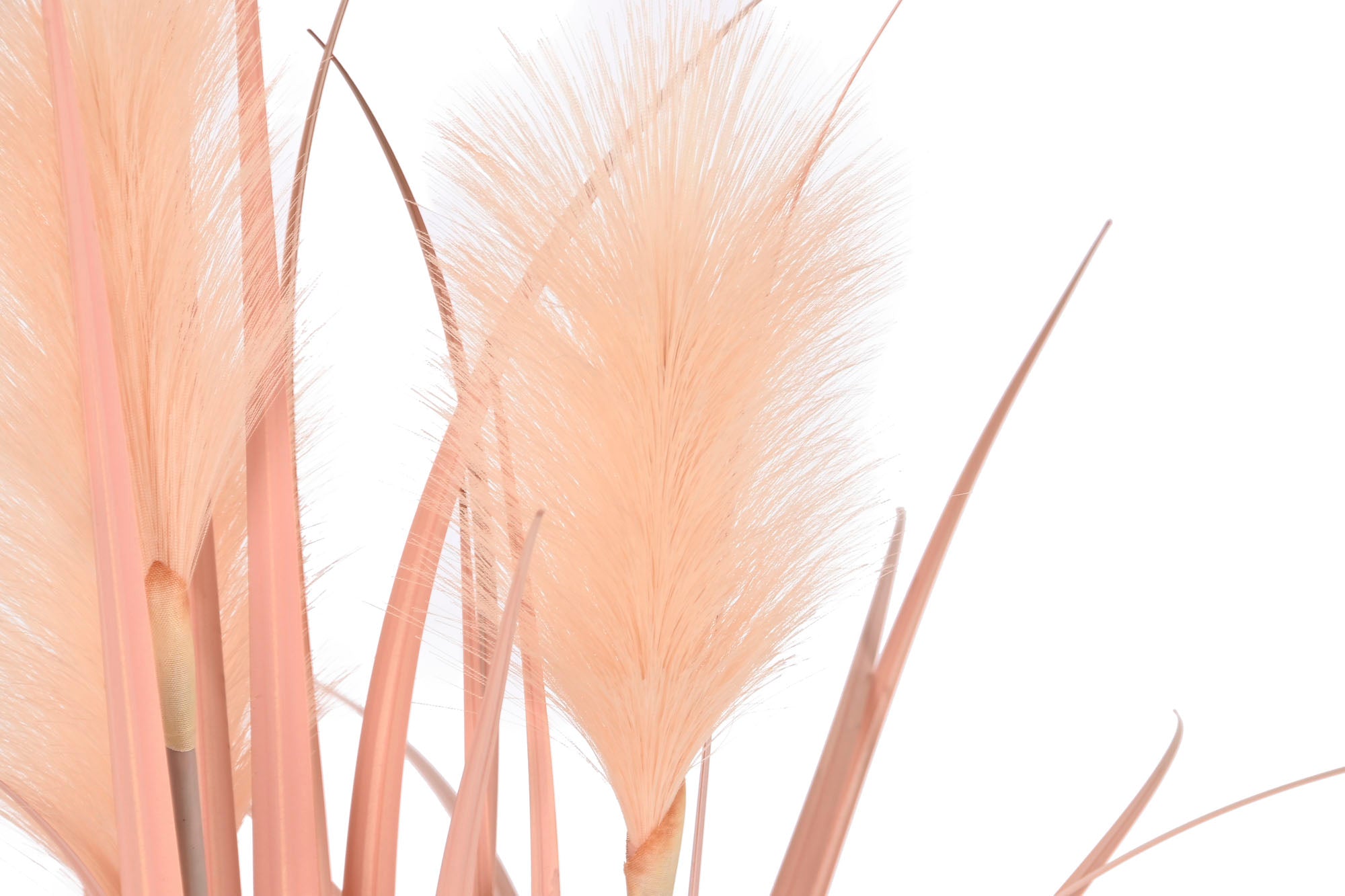 PACK DE 4 PLANTA PE PVC 25X25X80 PLUMERO CORAL