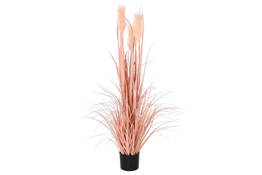 PACK DE 2 PLANTA PE PVC 35X35X120 PLUMERO CORAL