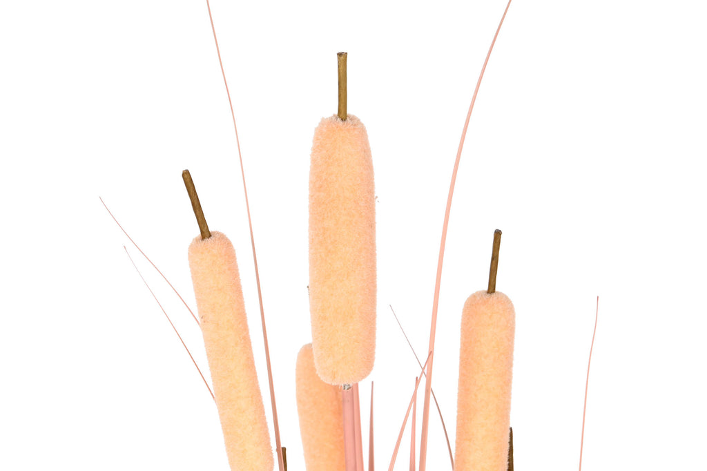 PACK DE 2 PLANTA PE PVC 35X35X115 JUNCO CORAL