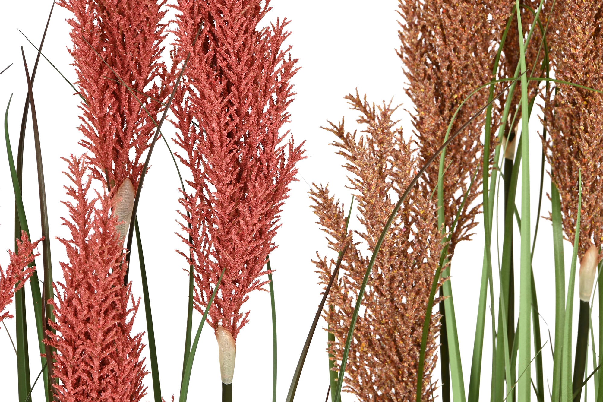 PACK DE 2 PLANTA PE PVC 35X35X120 PLUMERO 2 SURT.