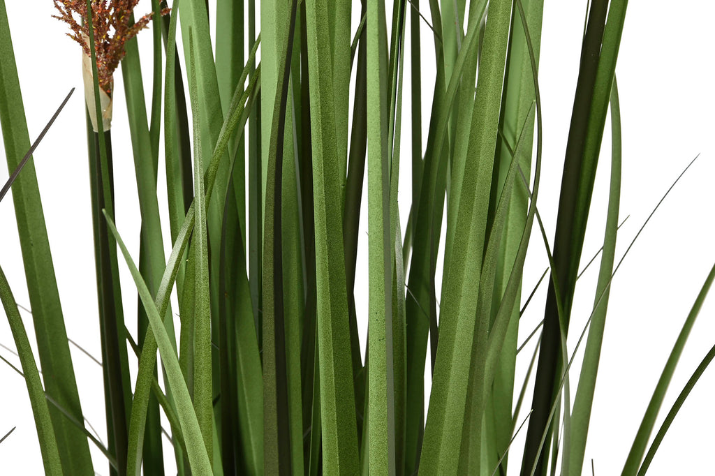 PACK DE 2 PLANTA PE PVC 35X35X120 PLUMERO 2 SURT.