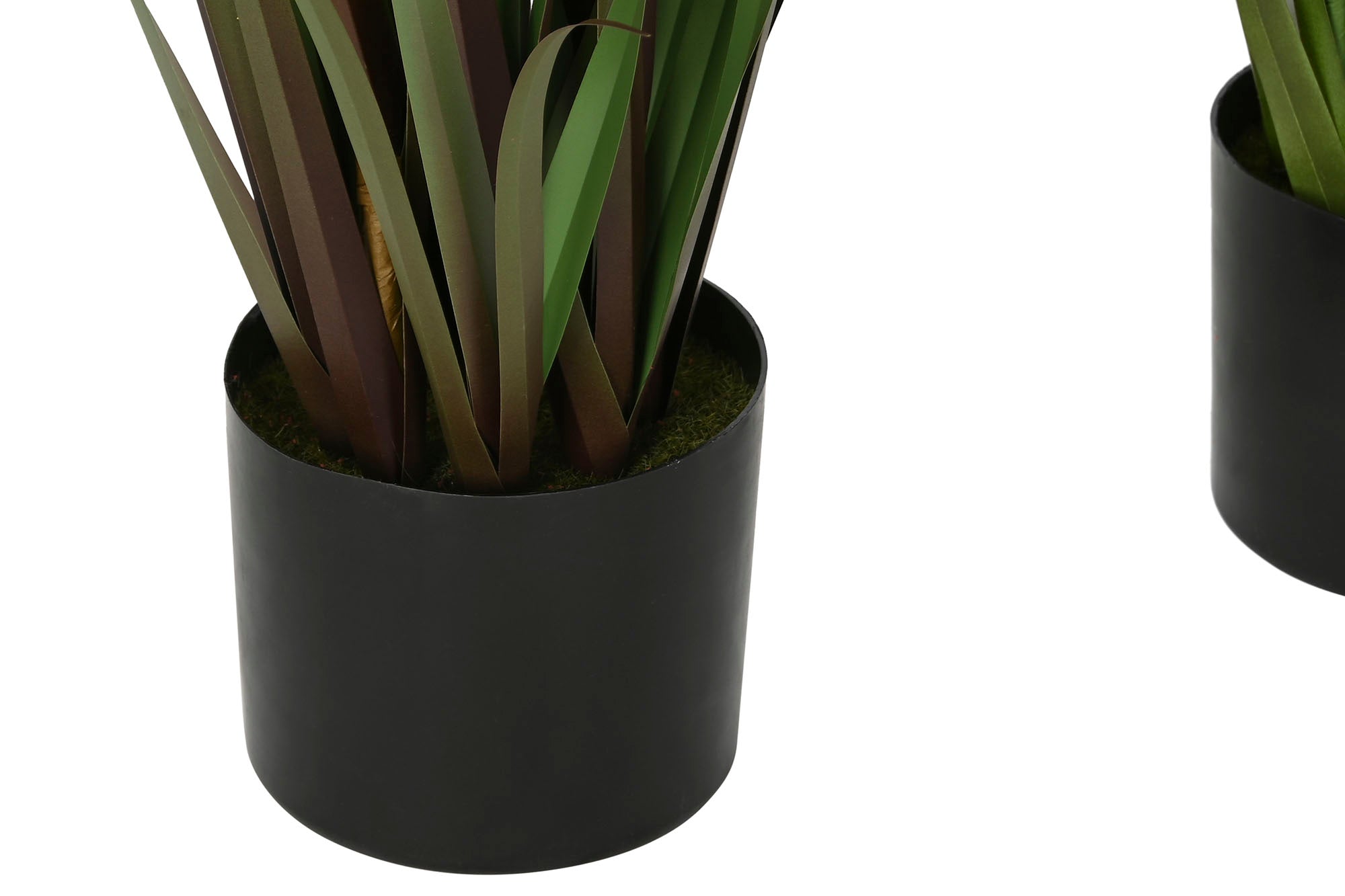 PACK DE 2 PLANTA PE PVC 35X35X120 PLUMERO 2 SURT.