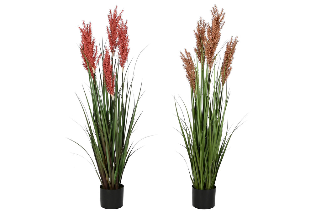 PACK DE 2 PLANTA PE PVC 35X35X120 PLUMERO 2 SURT.