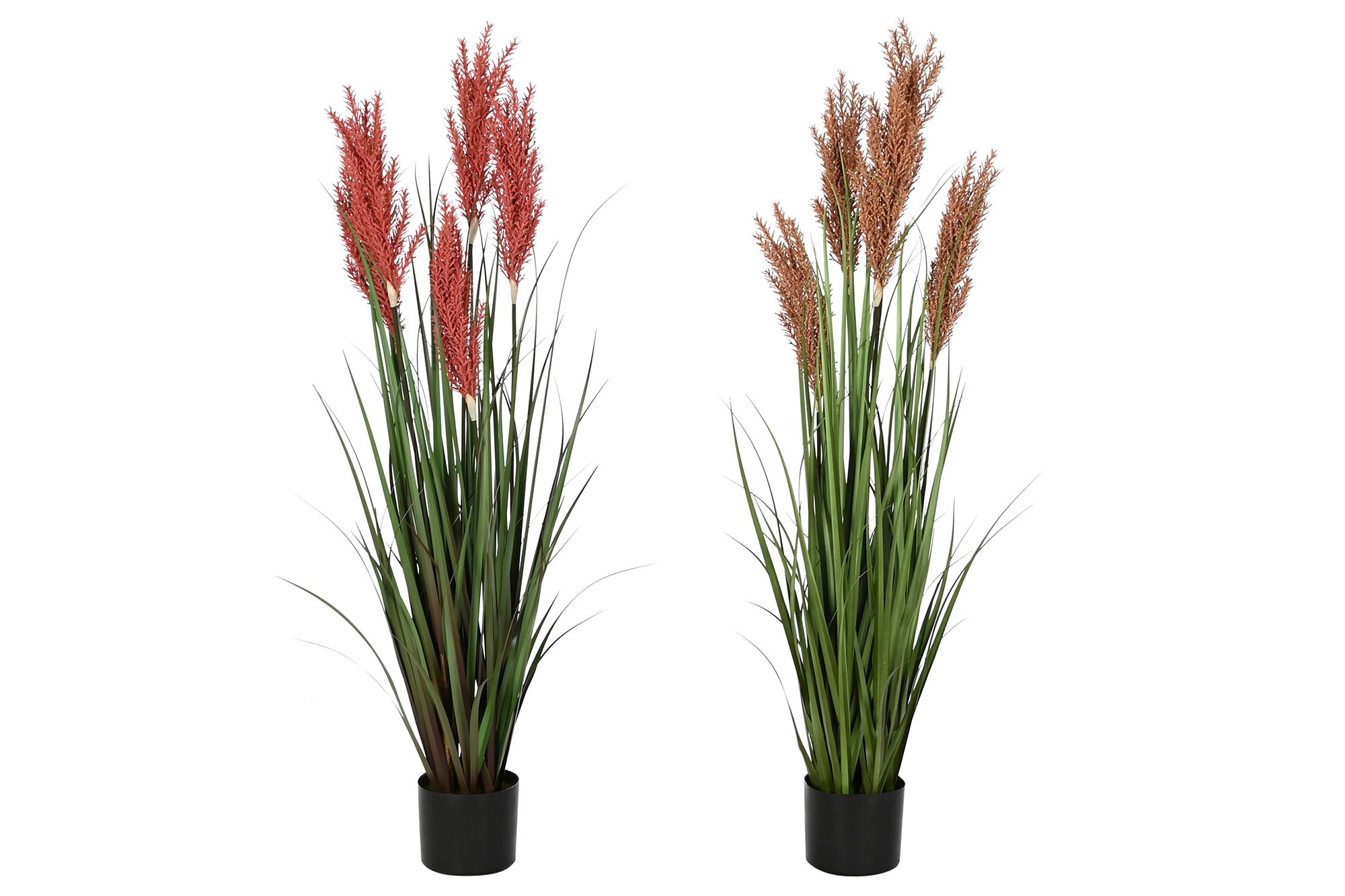 PACK DE 2 PLANTA PE PVC 35X35X120 PLUMERO 2 SURT.