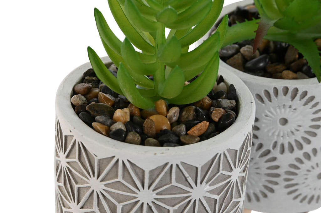 PACK DE 3 PLANTA CEMENTO PE 6,5X6,5X11 3 SURT.