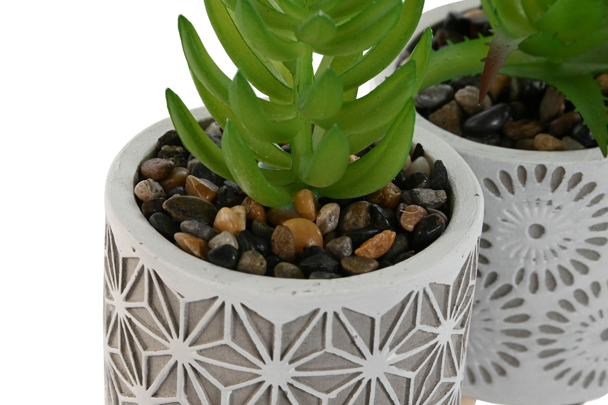 PACK DE 3 PLANTA CEMENTO PE 6,5X6,5X11 3 SURT.