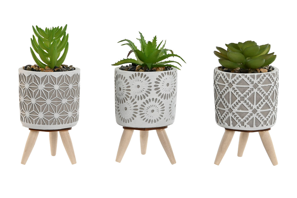 PACK DE 3 PLANTA CEMENTO PE 6,5X6,5X11 3 SURT.