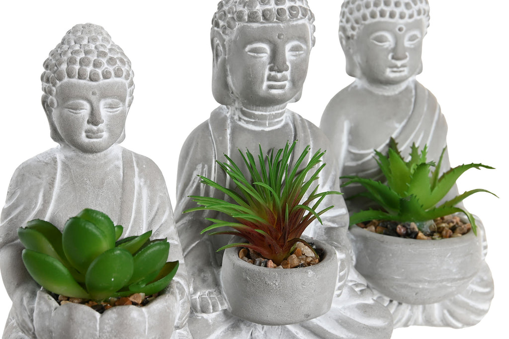 PACK DE 3 PLANTA CEMENTO PE 10,5X8X16 BUDA 3 SURT.