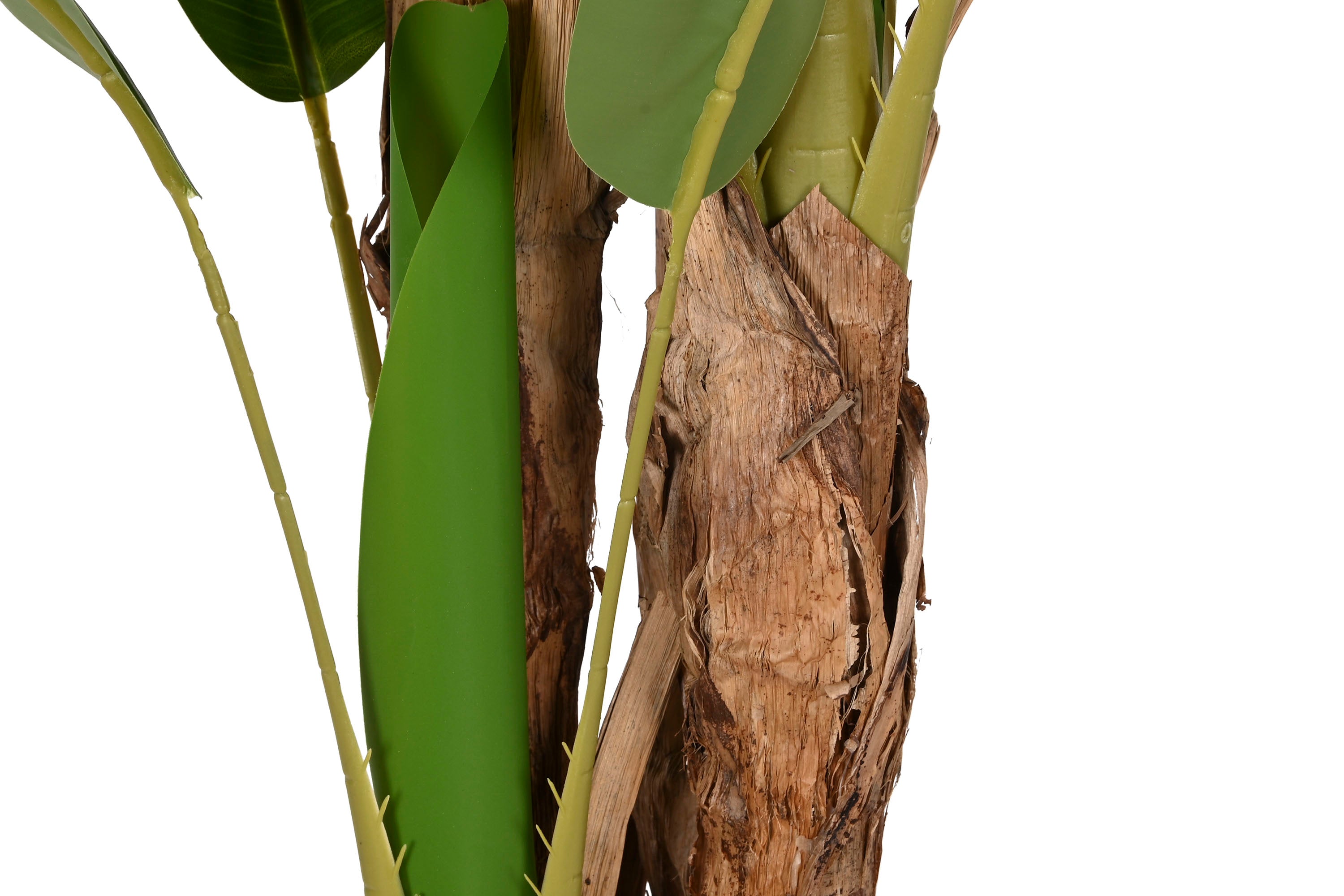 PLANTA PE CEMENTO 90X90X290 BANANERO VERDE