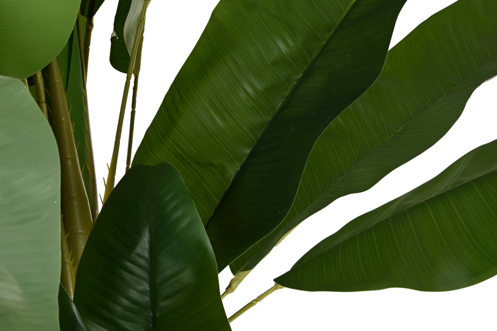 PLANTA PE CEMENTO 90X90X290 BANANERO VERDE