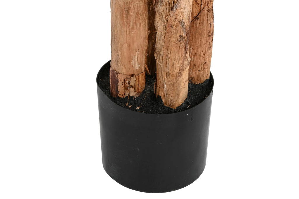 PLANTA PE CEMENTO 90X90X290 BANANERO VERDE