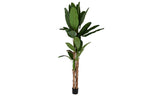 PLANTA PE CEMENTO 90X90X290 BANANERO VERDE