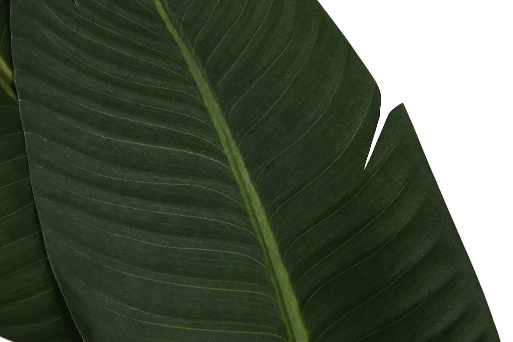 PACK DE 2 PLANTA PE CEMENTO 80X80X205 TRATAMIENTO UV VERDE