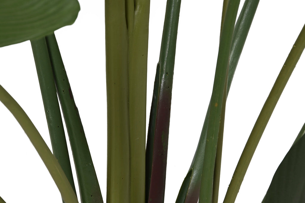 PACK DE 2 PLANTA PE CEMENTO 80X80X205 TRATAMIENTO UV VERDE