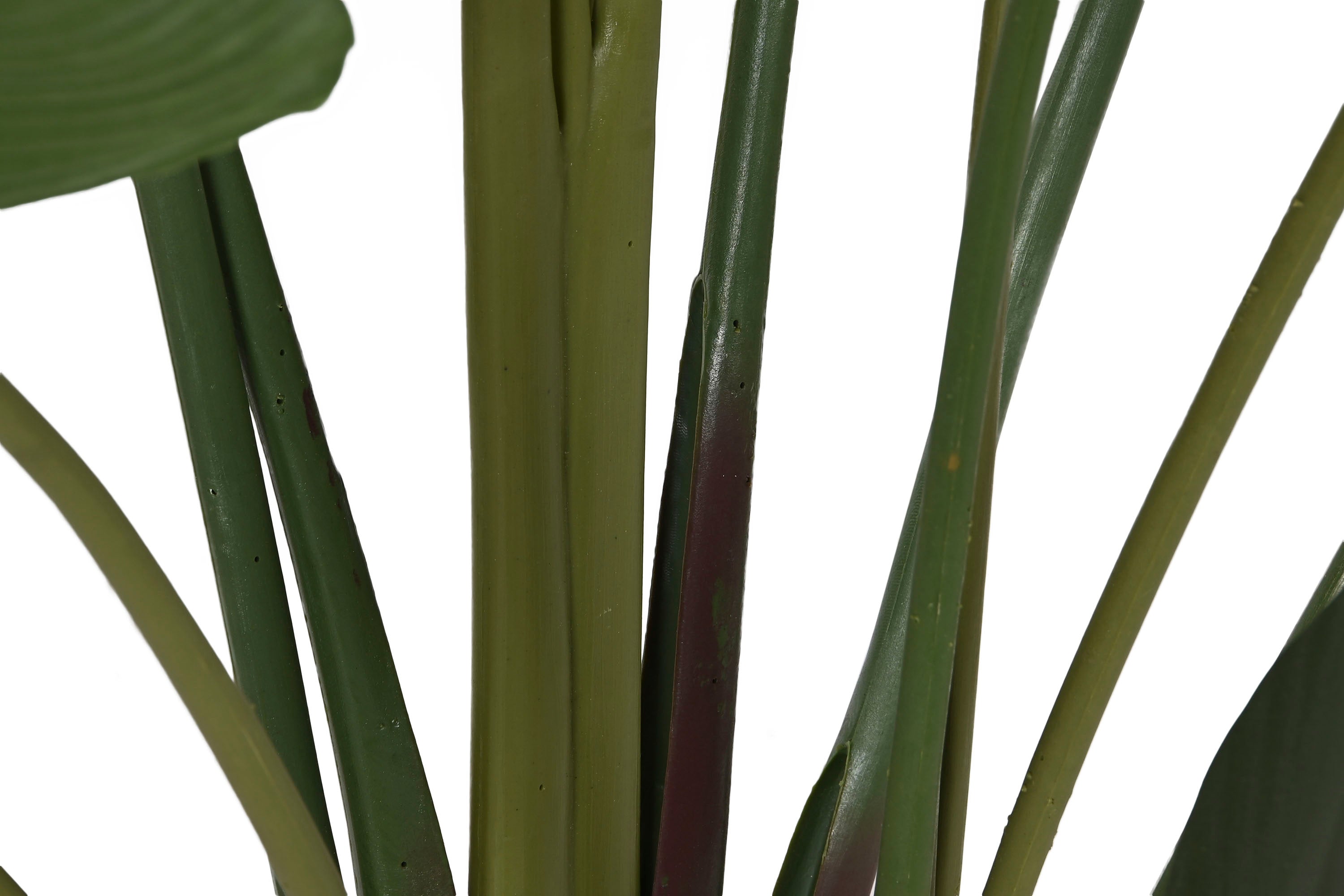 PACK DE 2 PLANTA PE CEMENTO 80X80X205 TRATAMIENTO UV VERDE