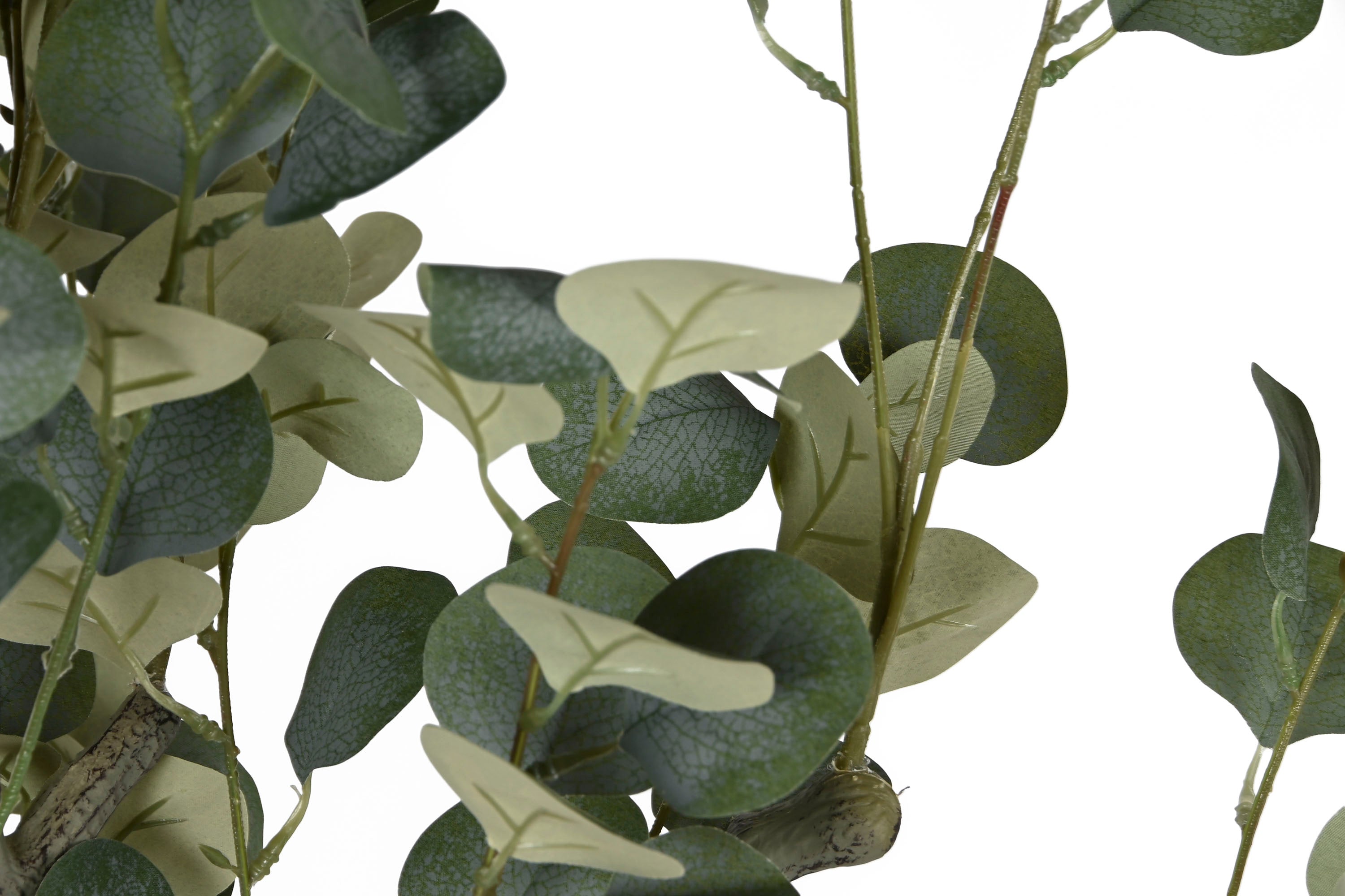 ARBOL PE CEMENTO 80X80X220 EUCALIPTO VERDE