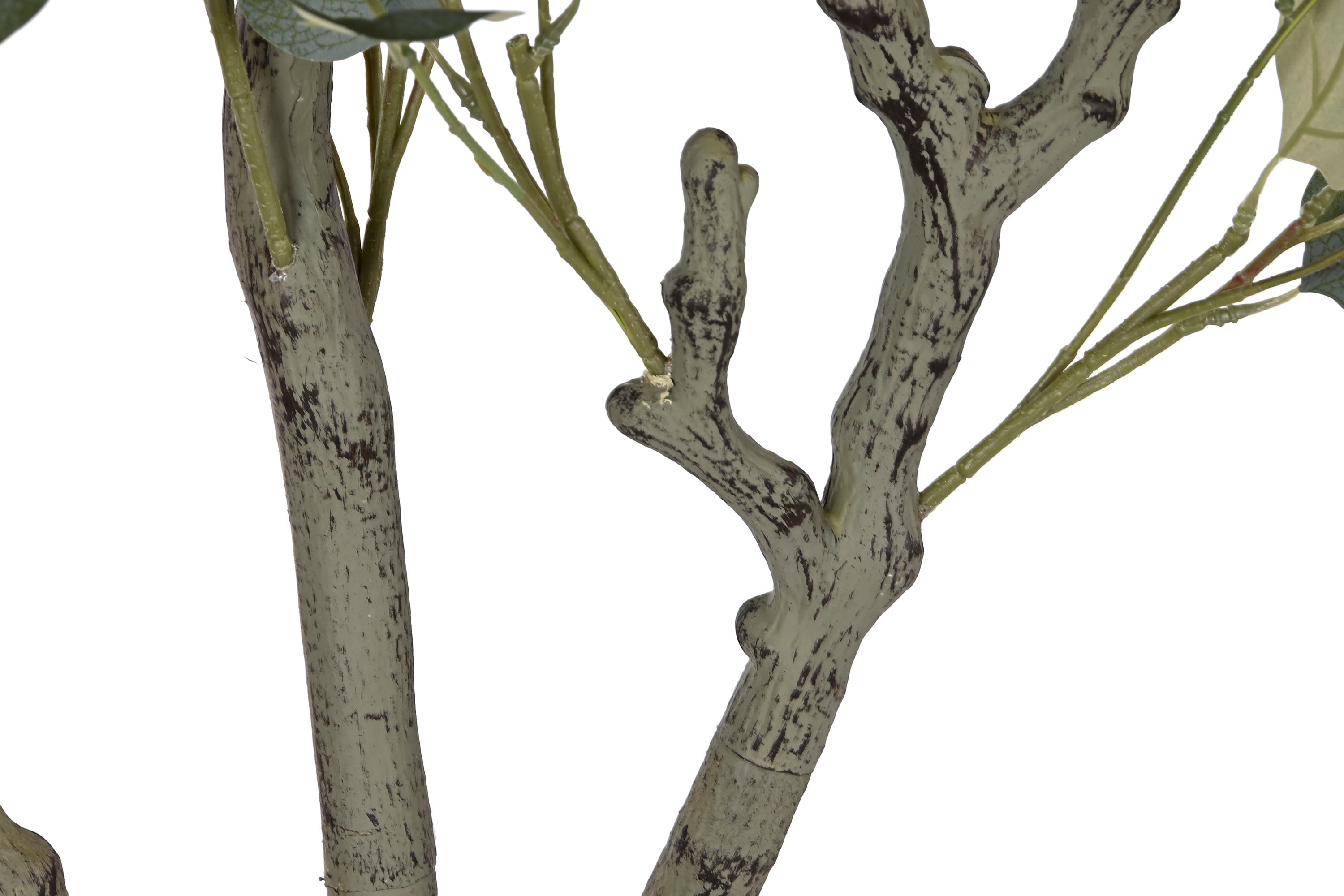 ARBOL PE CEMENTO 80X80X220 EUCALIPTO VERDE