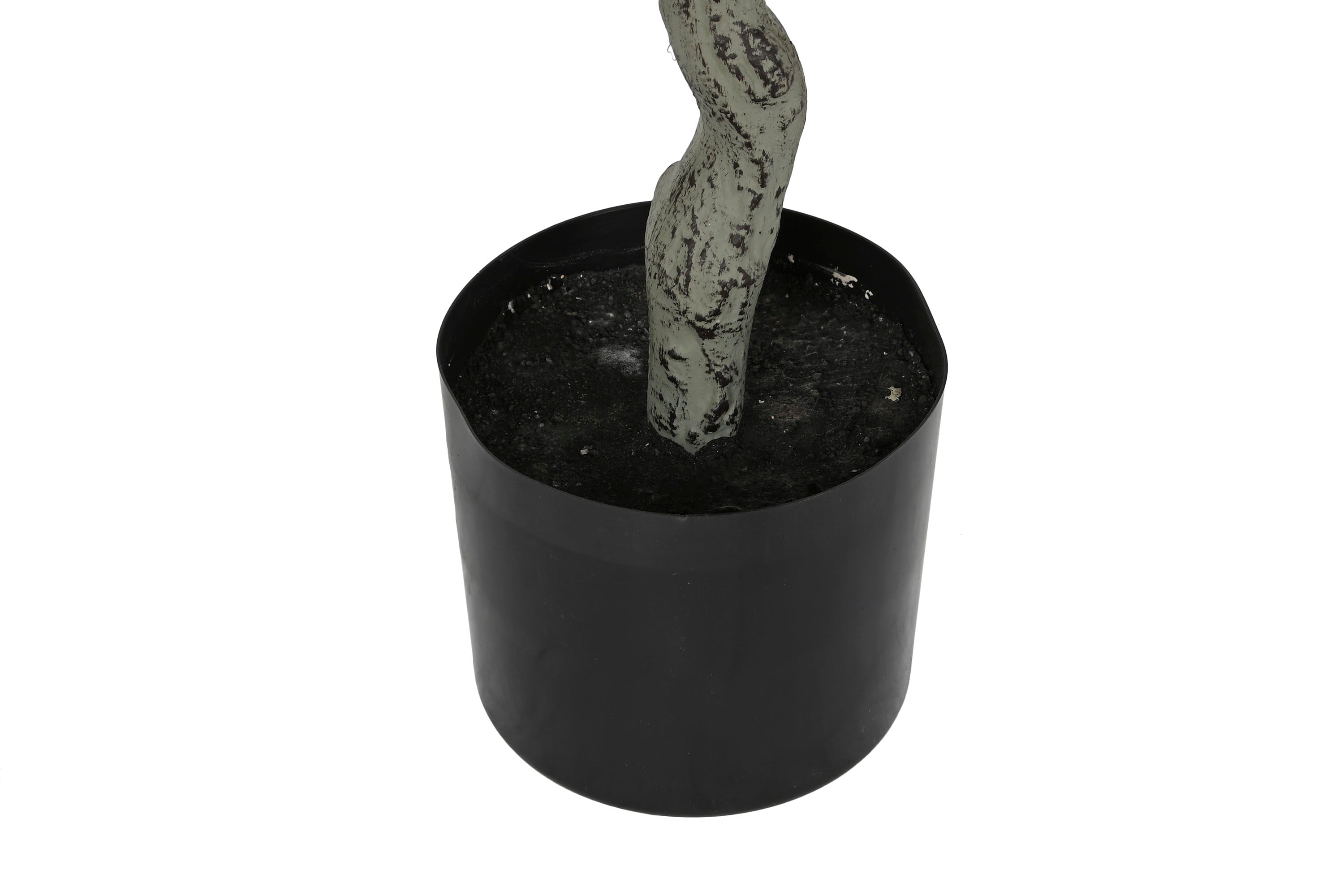 ARBOL PE CEMENTO 80X80X220 EUCALIPTO VERDE