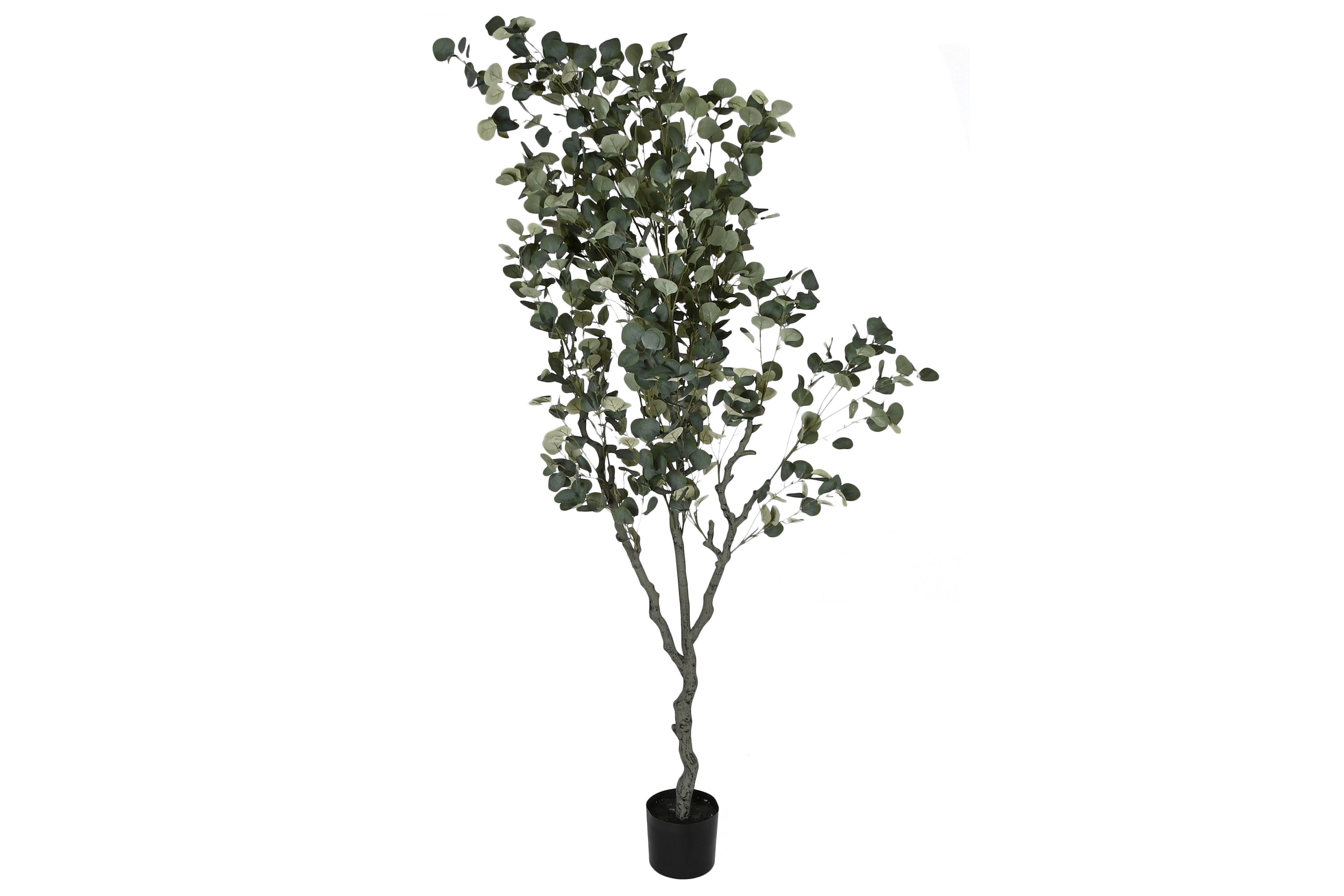 ARBOL PE CEMENTO 80X80X220 EUCALIPTO VERDE