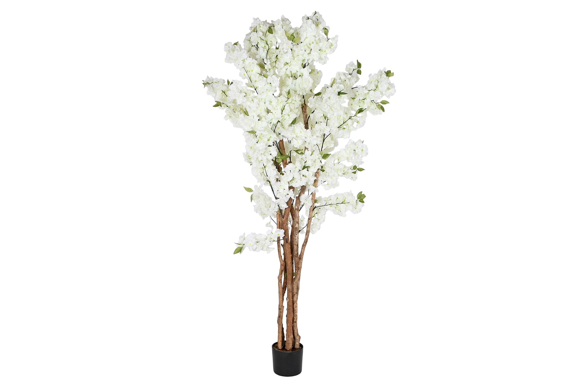 PACK DE 2 ARBOL PE CEMENTO 80X80X200 ALMENDRO BLANCO
