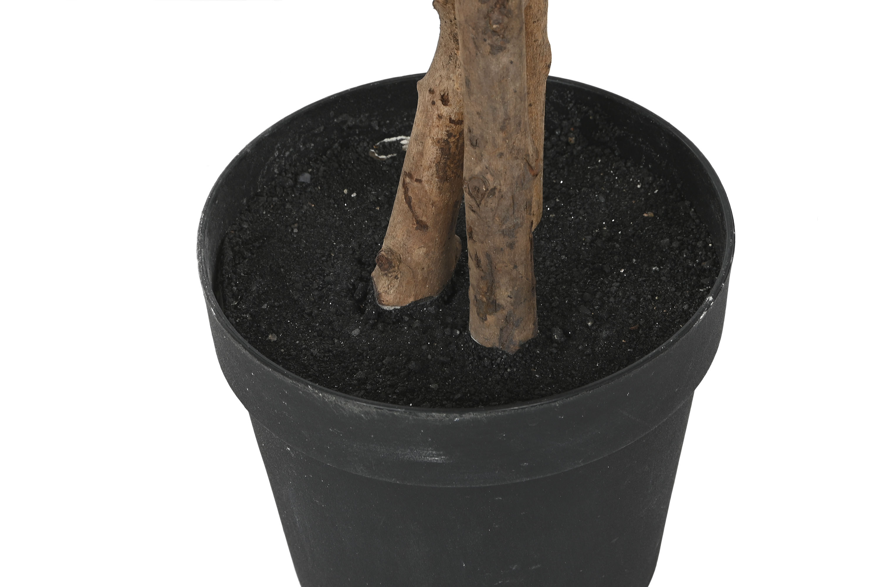 PACK DE 2 PLANTA PE CEMENTO 80X80X180 FICUS VERDE