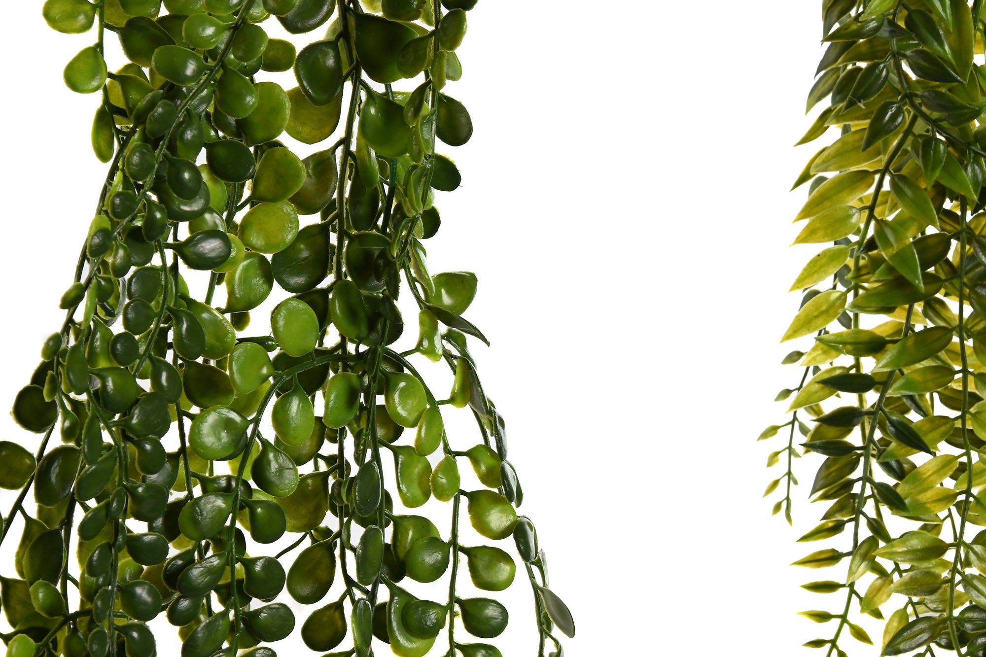 PACK DE 24 RAMA PE 12X12X76 COLGANTE 2 SURT.