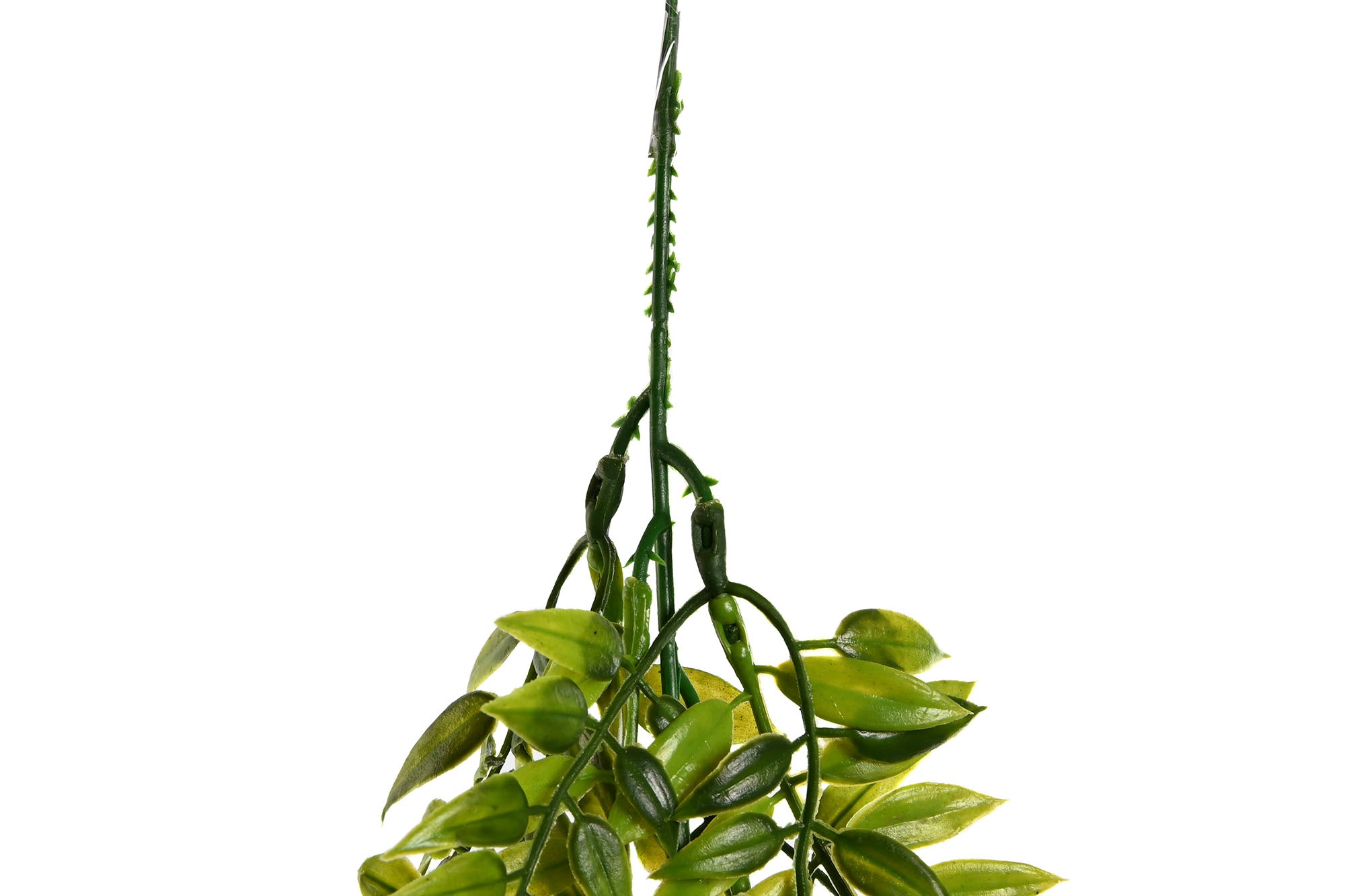 PACK DE 24 RAMA PE 12X12X76 COLGANTE 2 SURT.