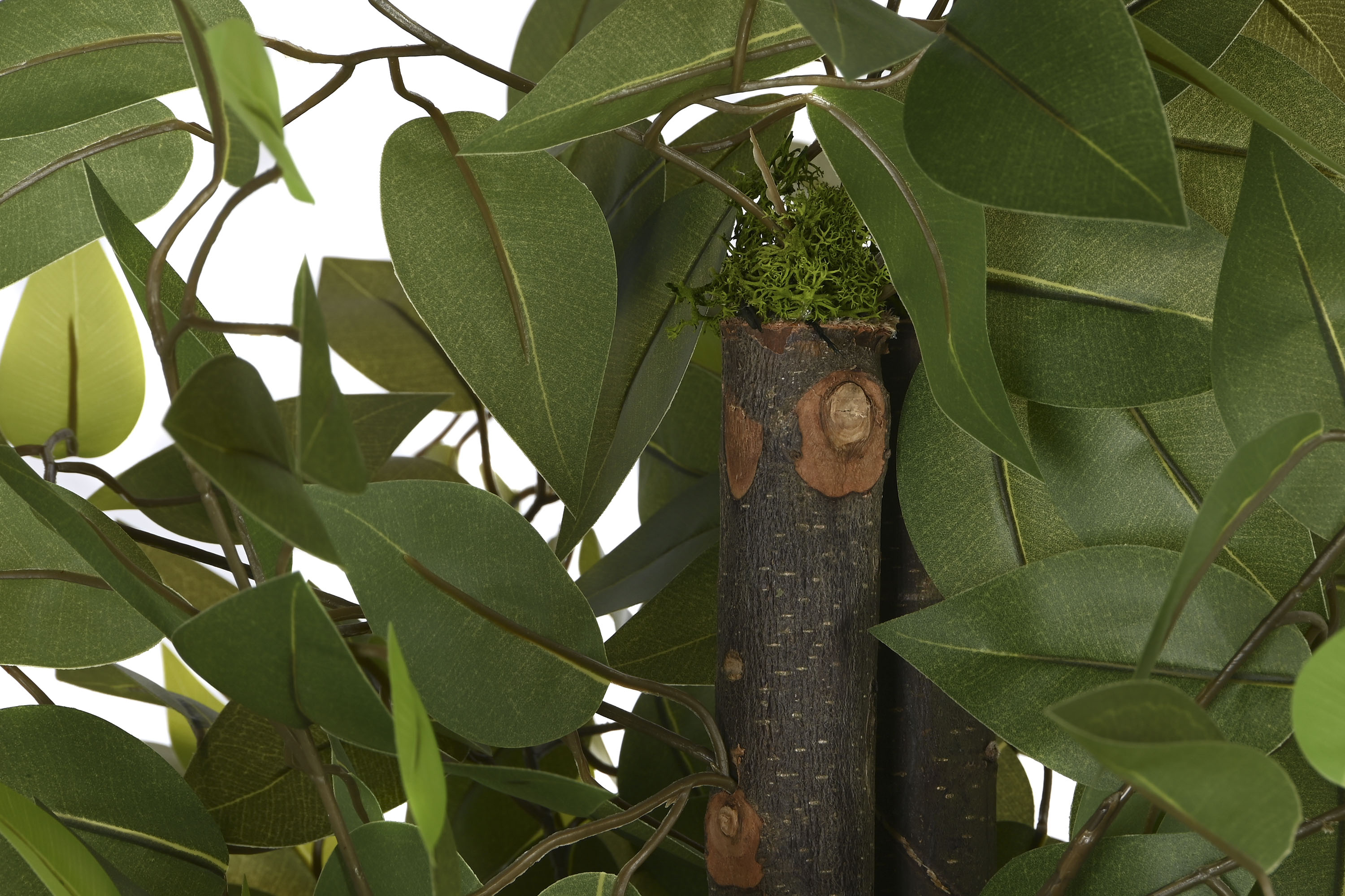 PACK DE 2 ARBOL POLIESTER MADERA 80X80X150 FICUS VERDE