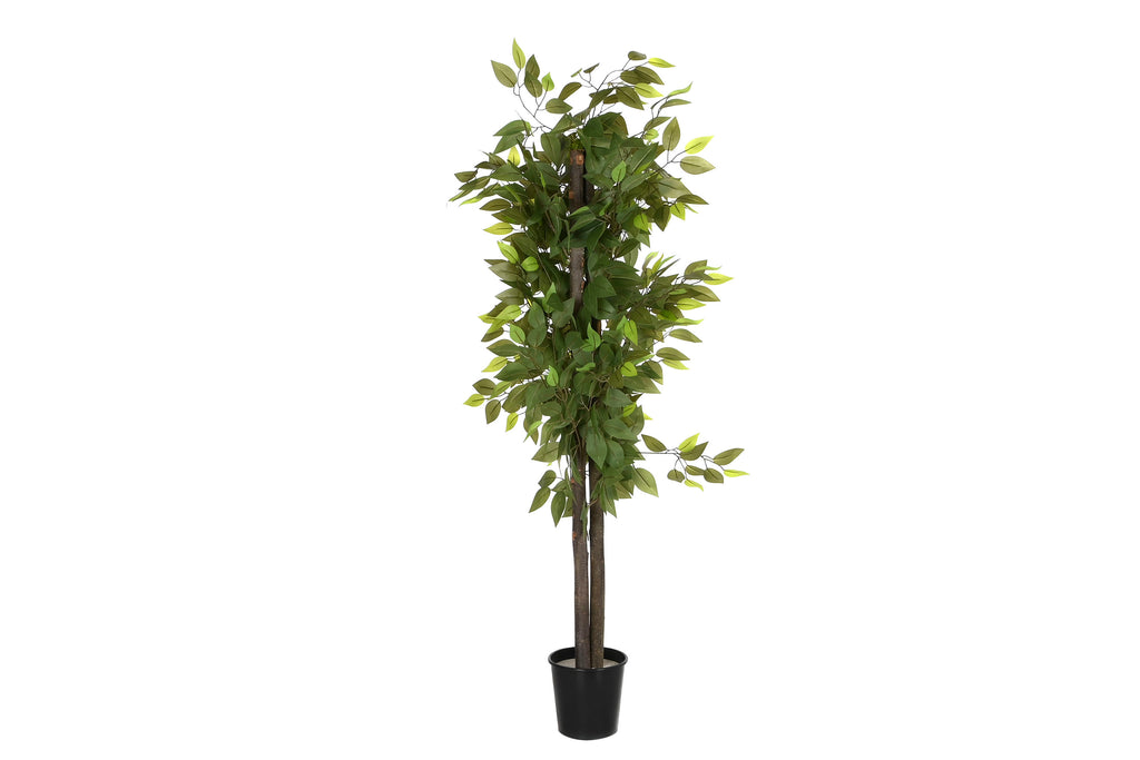 PACK DE 2 ARBOL POLIESTER MADERA 80X80X150 FICUS VERDE