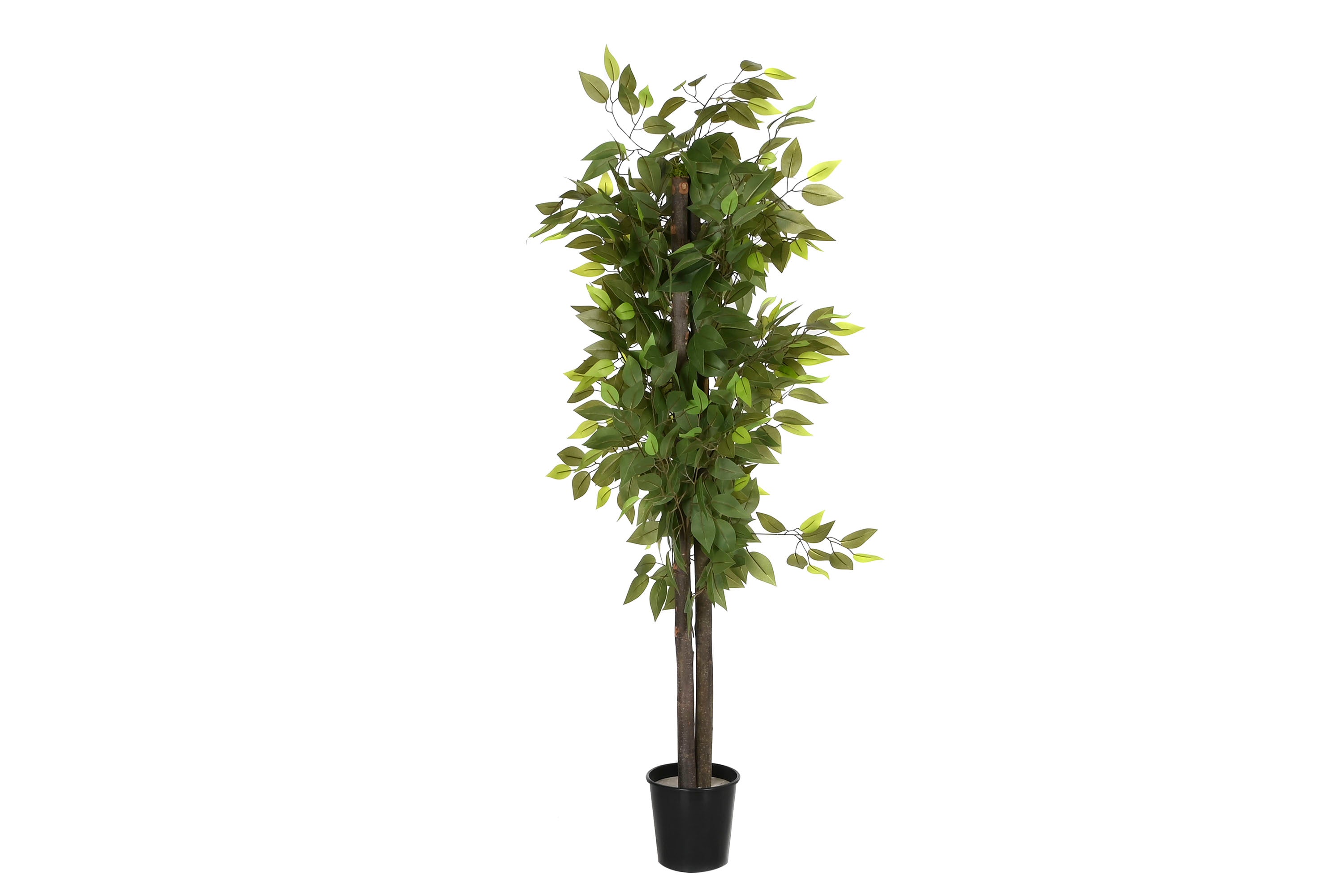 PACK DE 2 ARBOL POLIESTER MADERA 80X80X150 FICUS VERDE