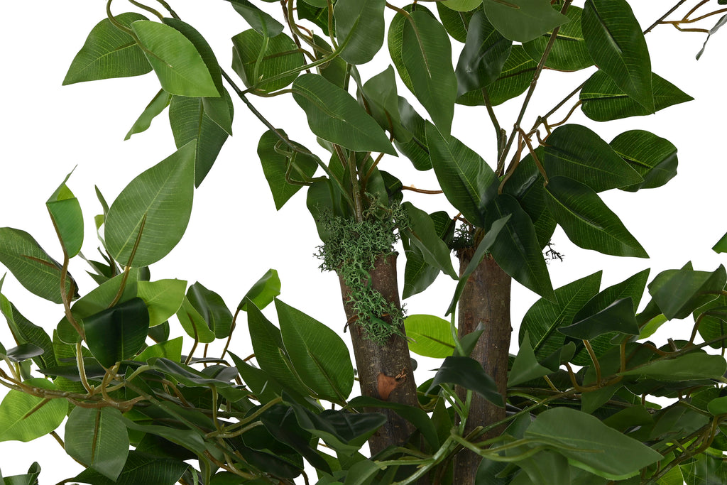 ARBOL MADERA POLIESTER 80X80X180 FICUS VERDE - Imagen 2