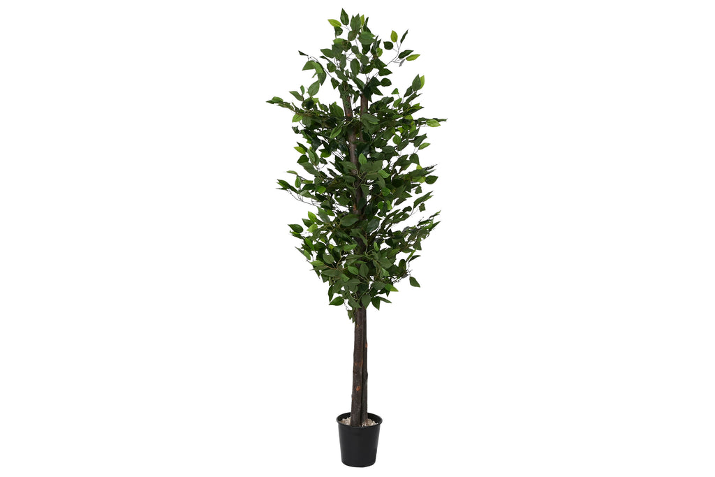 ARBOL MADERA POLIESTER 80X80X180 FICUS VERDE - Imagen 1