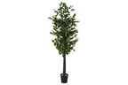 ARBOL MADERA POLIESTER 80X80X180 FICUS VERDE - Imagen 1