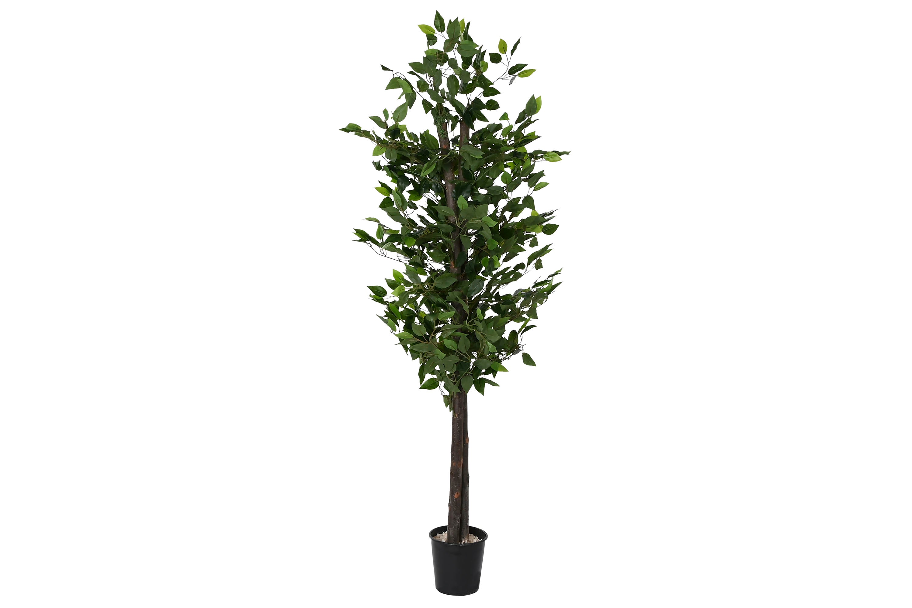 ARBOL MADERA POLIESTER 80X80X180 FICUS VERDE - Imagen 1