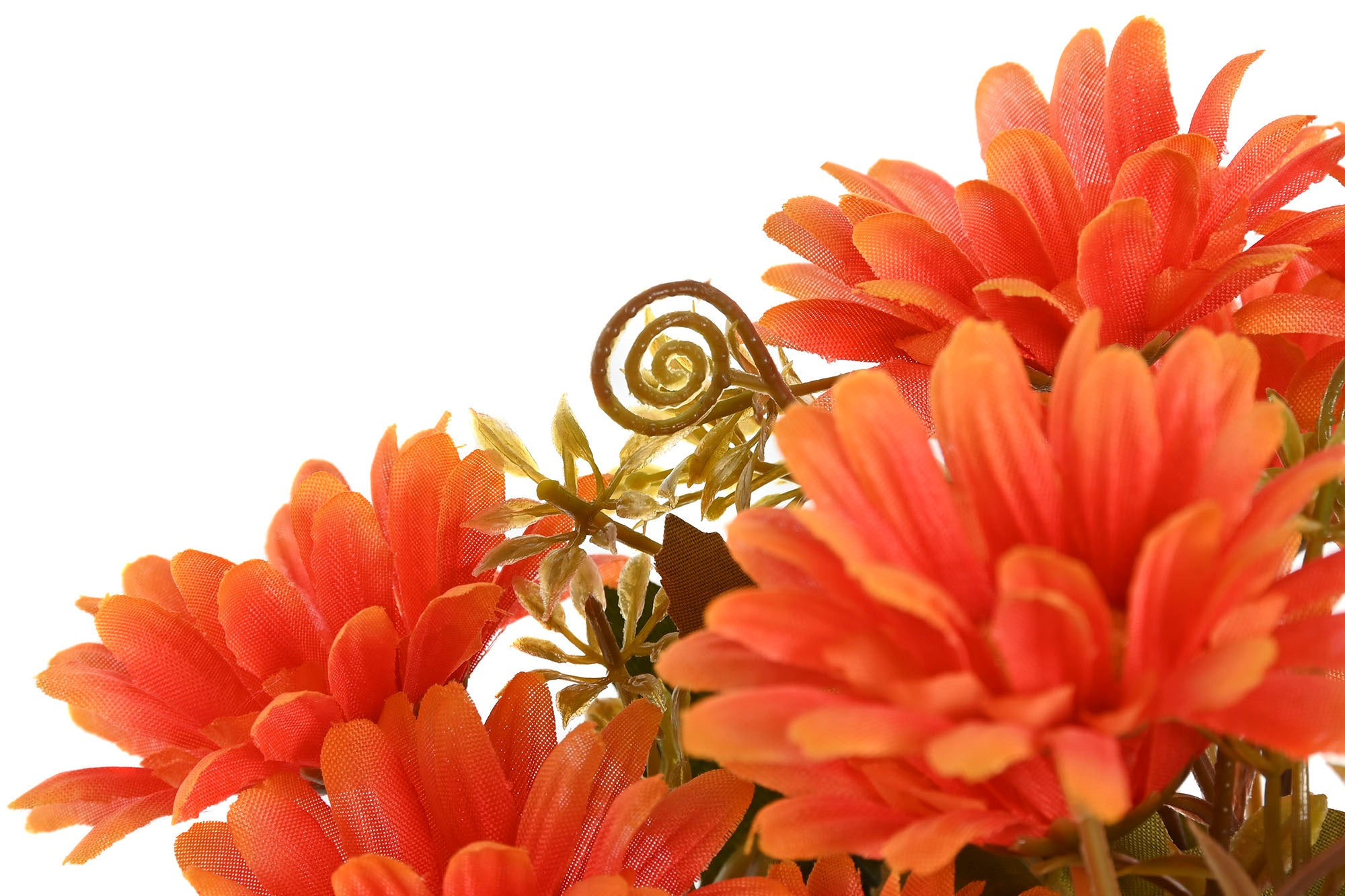 PACK DE 12 RAMA POLIESTER PE 16X16X35 GERBERA 4 SURT.